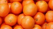 Раскрыта опасность поедания апельсинов