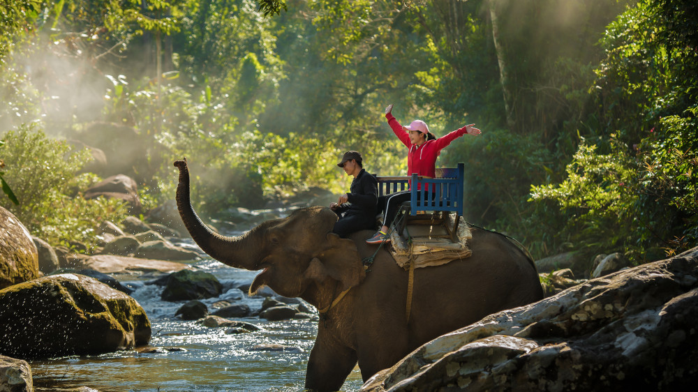 Фото©Shutterstock.com