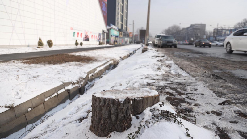 Фото Tengrinews.kz/Алихан Сариев