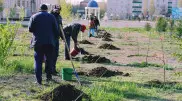 Посадкой деревьев отметили День единства народа Казахстана в ЗКО