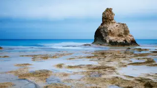 Из Алматы и Нур-Султана откроют авиарейсы на средиземноморский курорт Египта