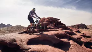 Названы лучшие велотуры в Казахстане