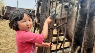 "О людях, затерянных в песках Арала". Какими надеждами живут у возрождающегося озера