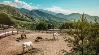 Заново влюбиться в Казахстан. Чем интересен отдых в Oi-Qaragai