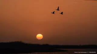 Жара и дожди с грозами. Погода в Казахстане на 7 августа