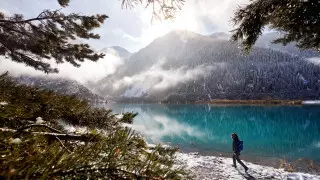 В Казахстане призвали открыть сухопутные границы для туристов