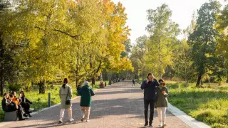 Теплые выходные обещают казахстанцам