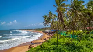 Казахстан возобновит авиасообщение с Индией