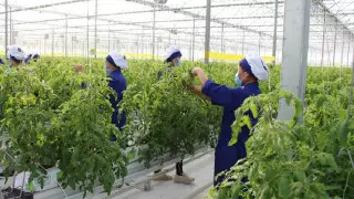 Казахстанскую отрасль АПК профинансируют в этом году на 251 миллиард тенге