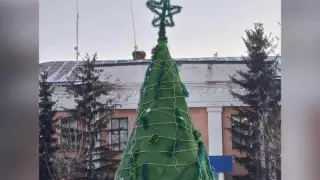 Кто установил елку из ковролина в селе в СКО, объяснили в акимате