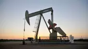 Жители Роттердама не знали о ведущейся 30 лет нефтедобыче и потребовали прекращения работ