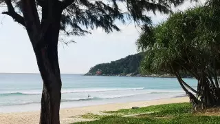 Правительство Таиланда призвали снять все ограничения для туристов