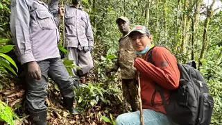 Как казахстанец влюблялся в Африку. Чай на экваторе и гориллы