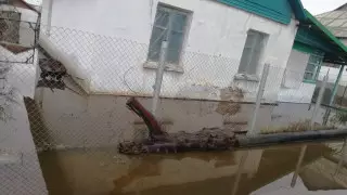 Дождевые воды затопили дома в Туркестанской области