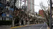 В Шанхае началась вторая фаза локдауна