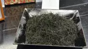 Килограмм зеленого чая продали за рекордную сумму в Японии