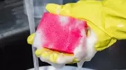 Ученые предупредили об опасности губок для мытья посуды
