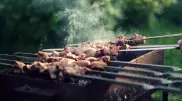 Врач назвал способ готовки шашлыка без вреда для здоровья