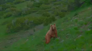 Скриншот видео с Instagram.сom/adilet_rakhmetolla