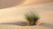Глобальное потепление превращает Центральную Азию в пустыню - ученые