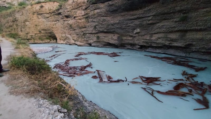 Фото предоставлены пресс-службой ДЧС Туркестанской области.