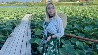 "Райский уголок на Земле". Фото цветущих лотосов делятся алматинцы