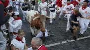 Семь человек пострадали во время забега быков на фестивале в Испании