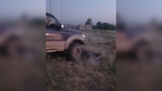 кадр из видео