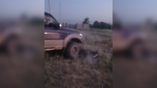 Кадр с видео