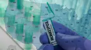 США лидируют в мире по количеству зараженных оспой обезьян