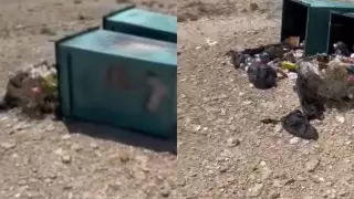 Свалка мусора на Бозжыре попала на видео