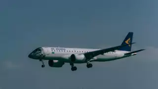 Air Astana зафиксировала 100 случаев столкновения птиц с самолетами