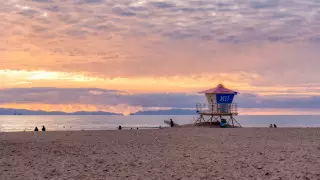 Таинственные хищники напугали туристов