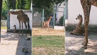 Кадры из видео