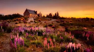 Страна "Властелина колец" снимает коронавирусные ограничения