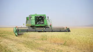 Как проходит уборка урожая в Акмолинской области
