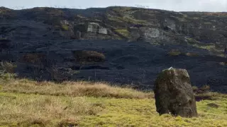 Лесной пожар повредил знаменитые каменные статуи-монолиты на острове Пасхи