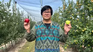 Как возрождается садоводство в Алматинской области