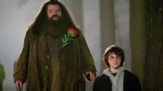 Кадр из фильма "Гарри Поттер и Кубок Огня" (2005)