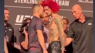 "Девушка с дороги и пудель". Петр Ян оскорбил соперника в UFC