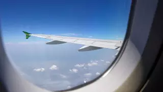 Авиакомпанию "Южное небо" оштрафовали в Шымкенте