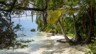 Группу островов в "Коралловом треугольнике" выставят на продажу