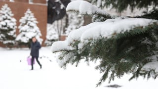 Фото Tengrinews.kz/Алихан Сариев