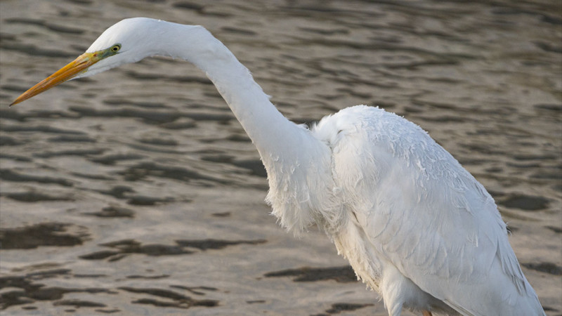 Фото: Дмитрий Доценко