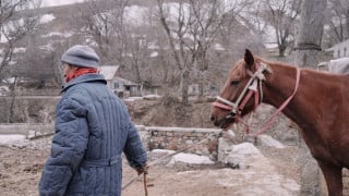 Фото Tengrinews.kz/Турар Казангапов