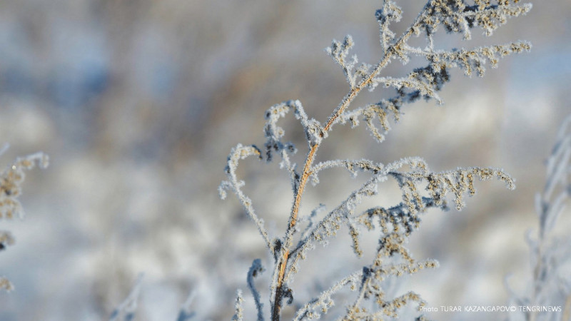 Фото Tengrinews.kz/Турар Казангапов