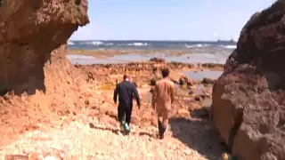 Второй загадочный шар обнаружили на побережье в Японии