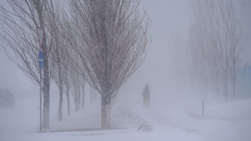 Фото Tengrinews.kz/Турар Казангапов