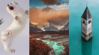 Вулкан "съел" Луну, и башня 14-го века. Выбраны лучшие фотографии природы