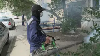 50 миллионов тенге потратят на травлю комаров в Атырау